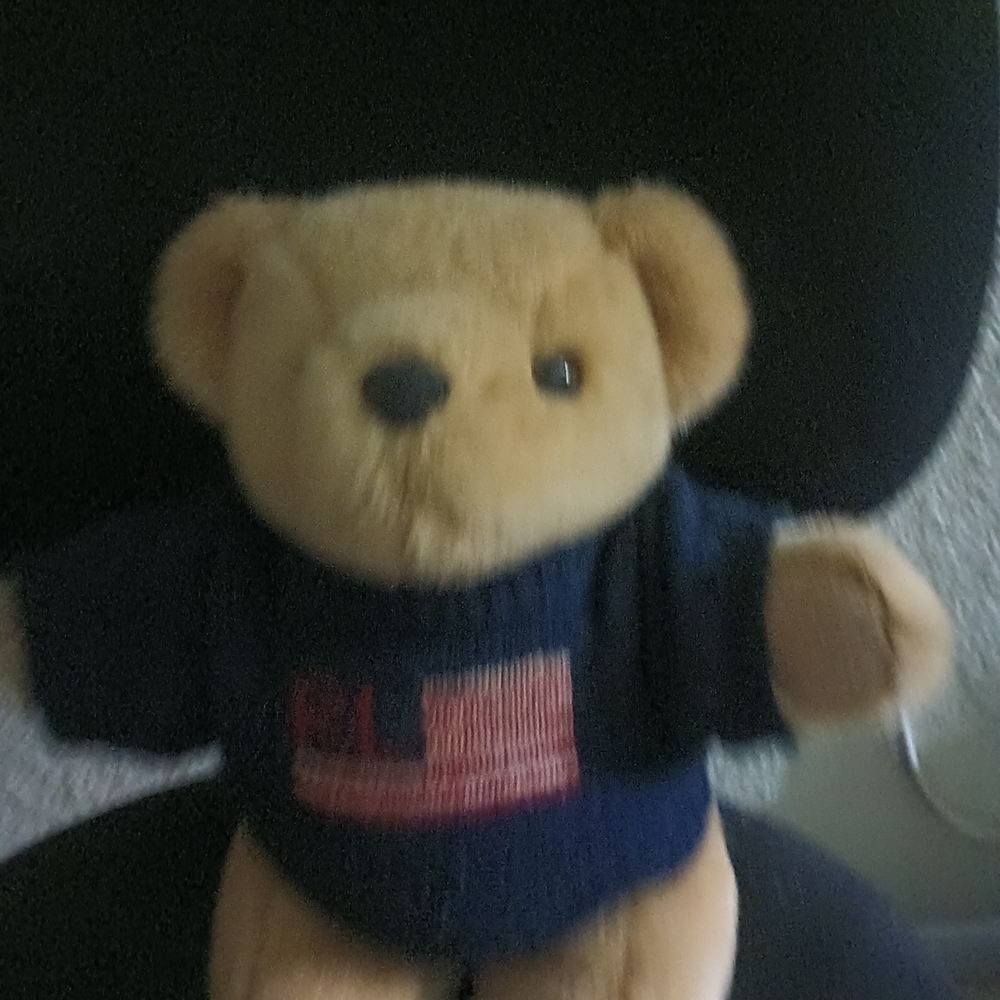 Polo Ralph Lauren Teddy Bear with Navy Sweater